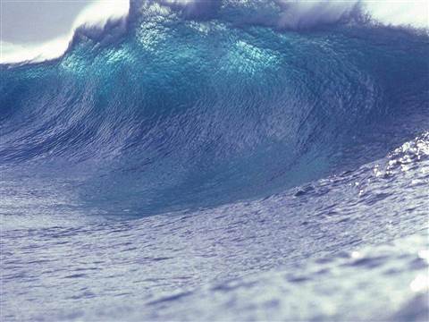 WAVE